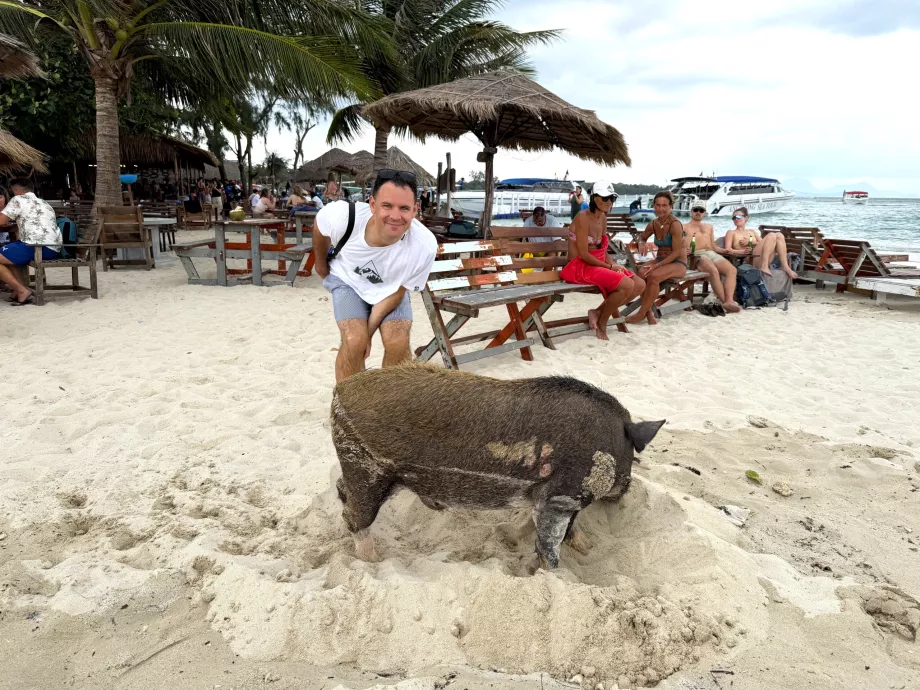 Yo en Pig Island