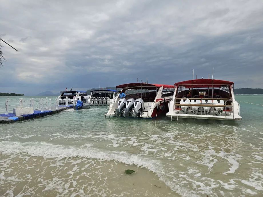 Barcos turísticos en Pig Island