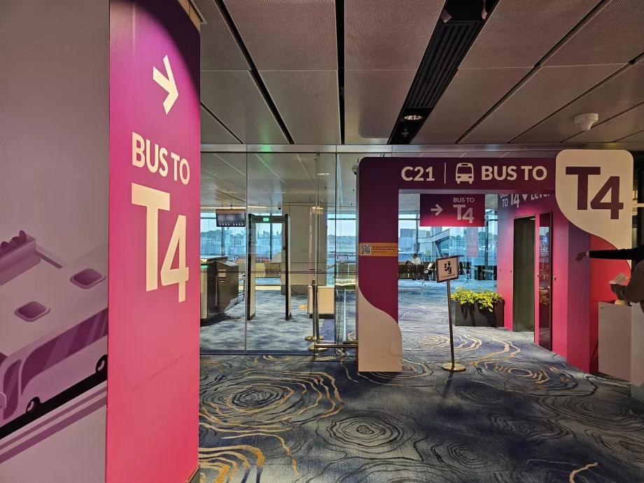 Autobús de tránsito de la Terminal 1 a la Terminal 4 (en la puerta C21)
