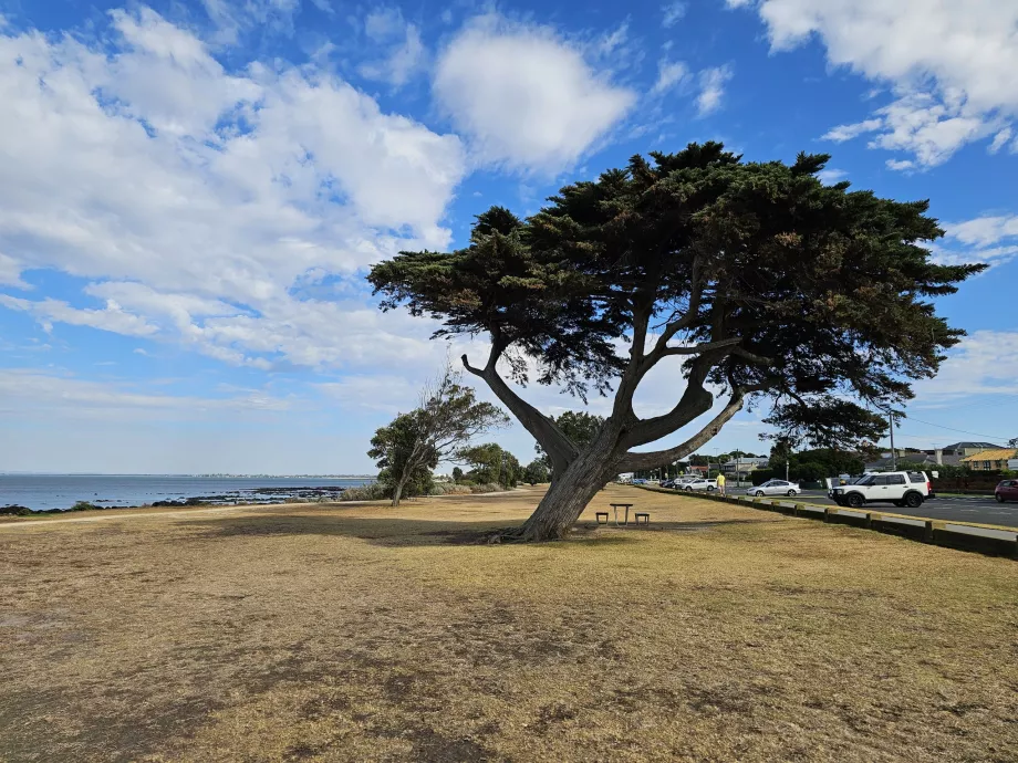Parque Williamstown