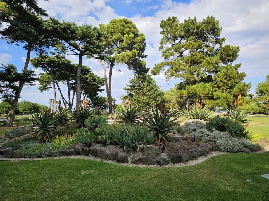 Jardín Botánico de Williamstown