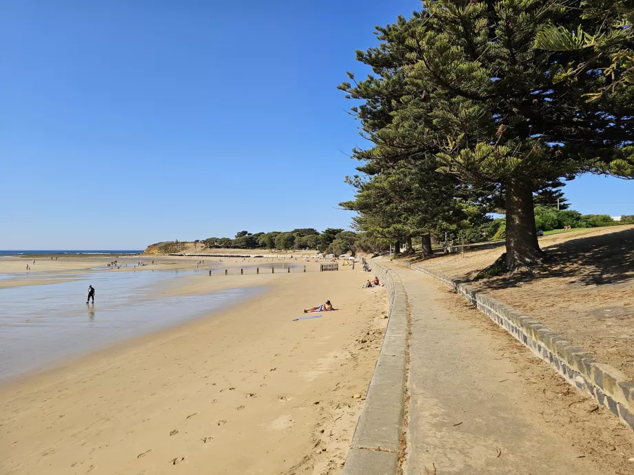 Paseo marítimo de Torquay